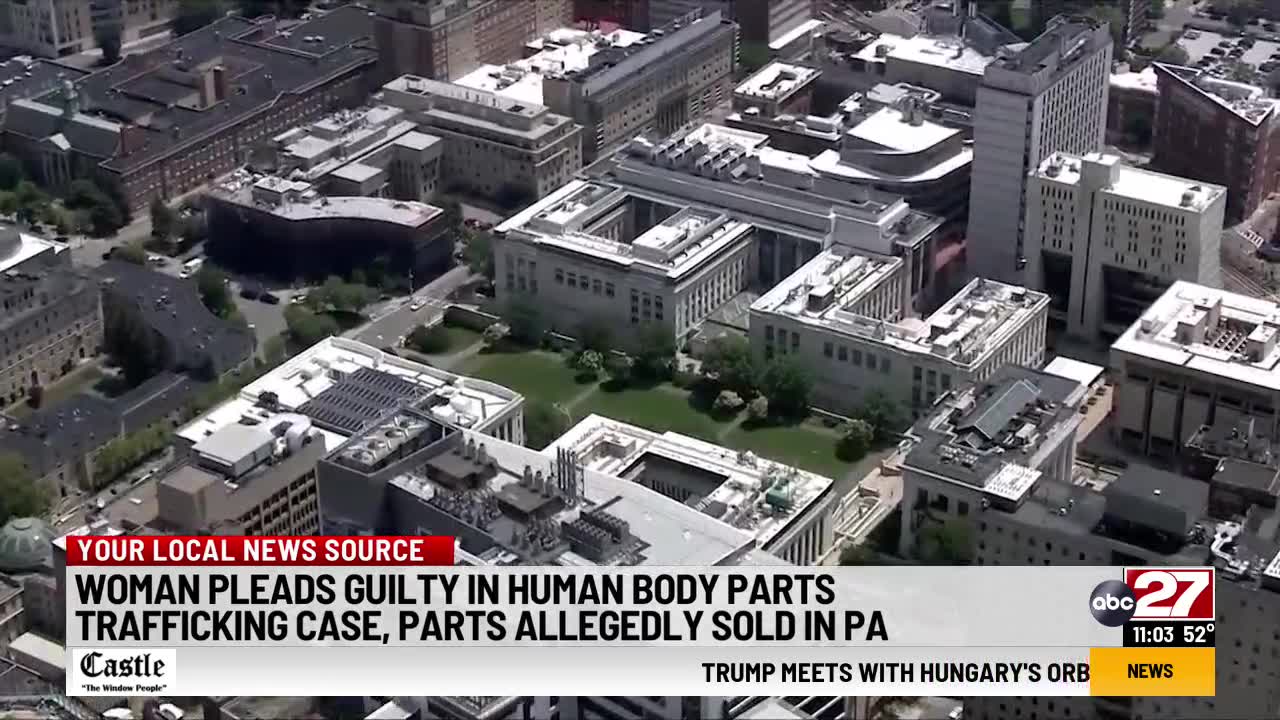 Woman pleads guilty in stolen remains scheme involving Pennsylvania men ...