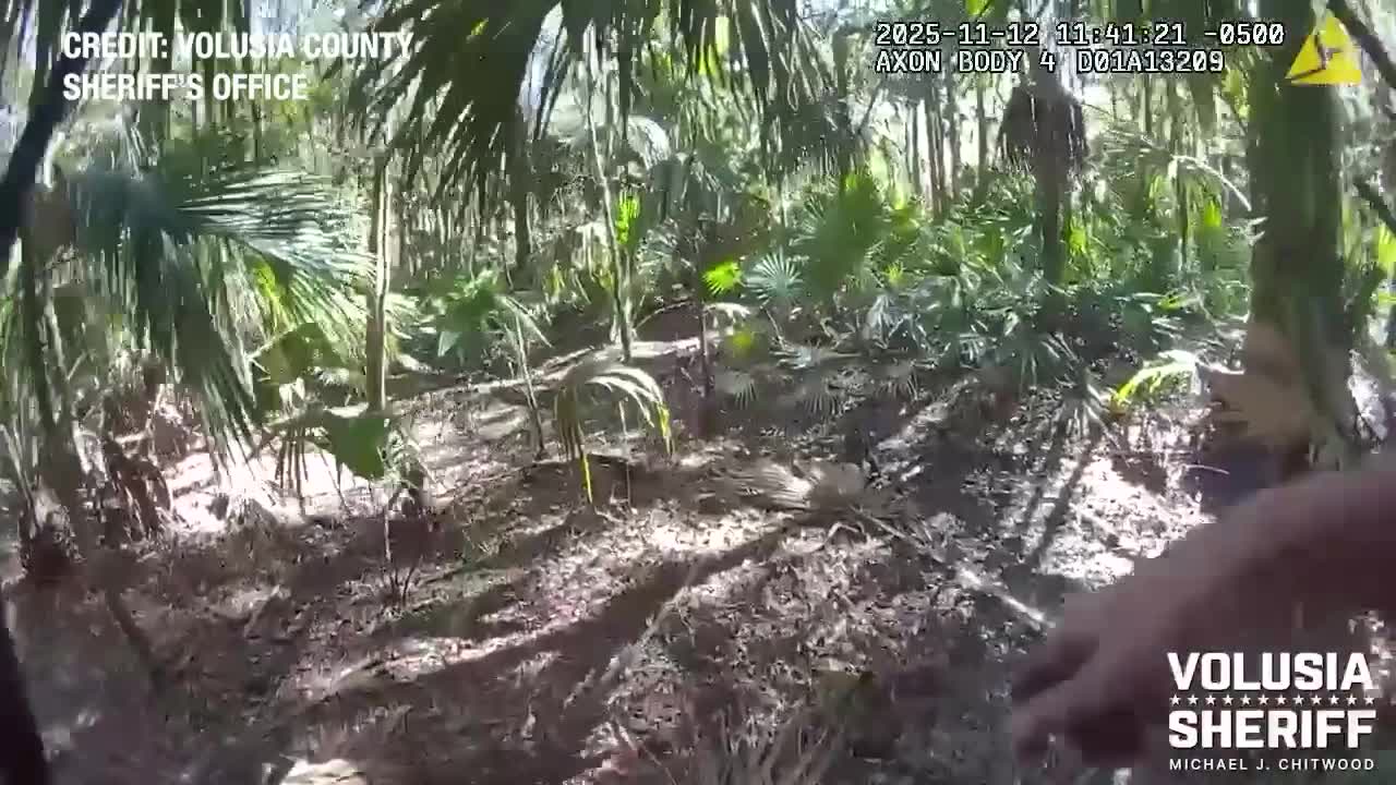 Florida man found in Volusia County swamp after leading deputies on ...