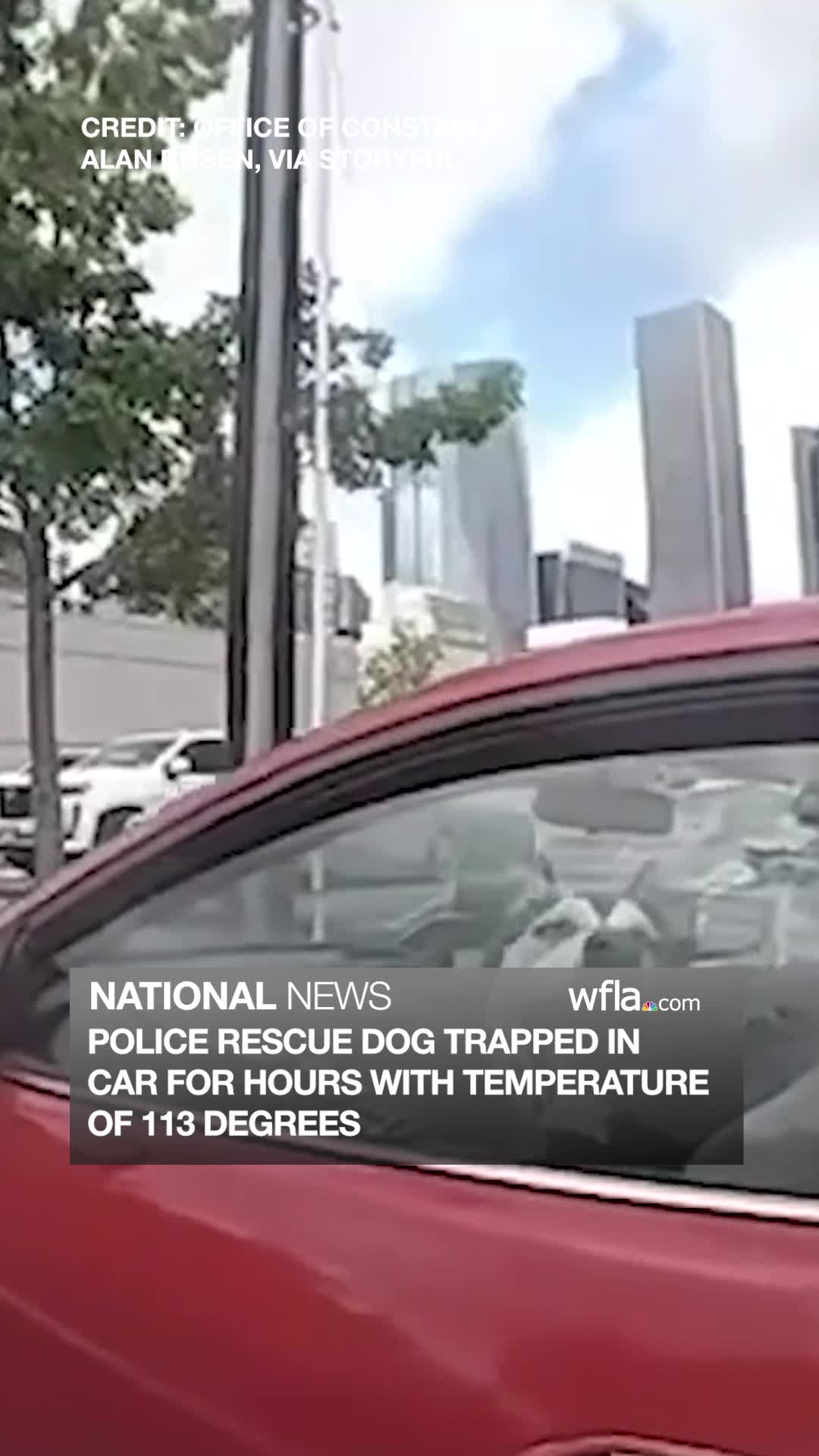 WATCH: Police rescue dog trapped in car for hours with temperature of ...