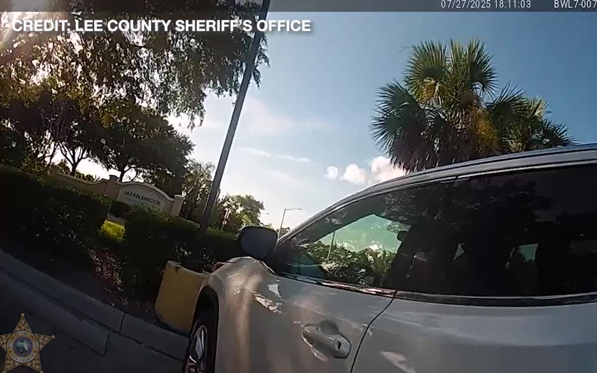 Florida woman arrested after leaving kids in hot car – WFLA