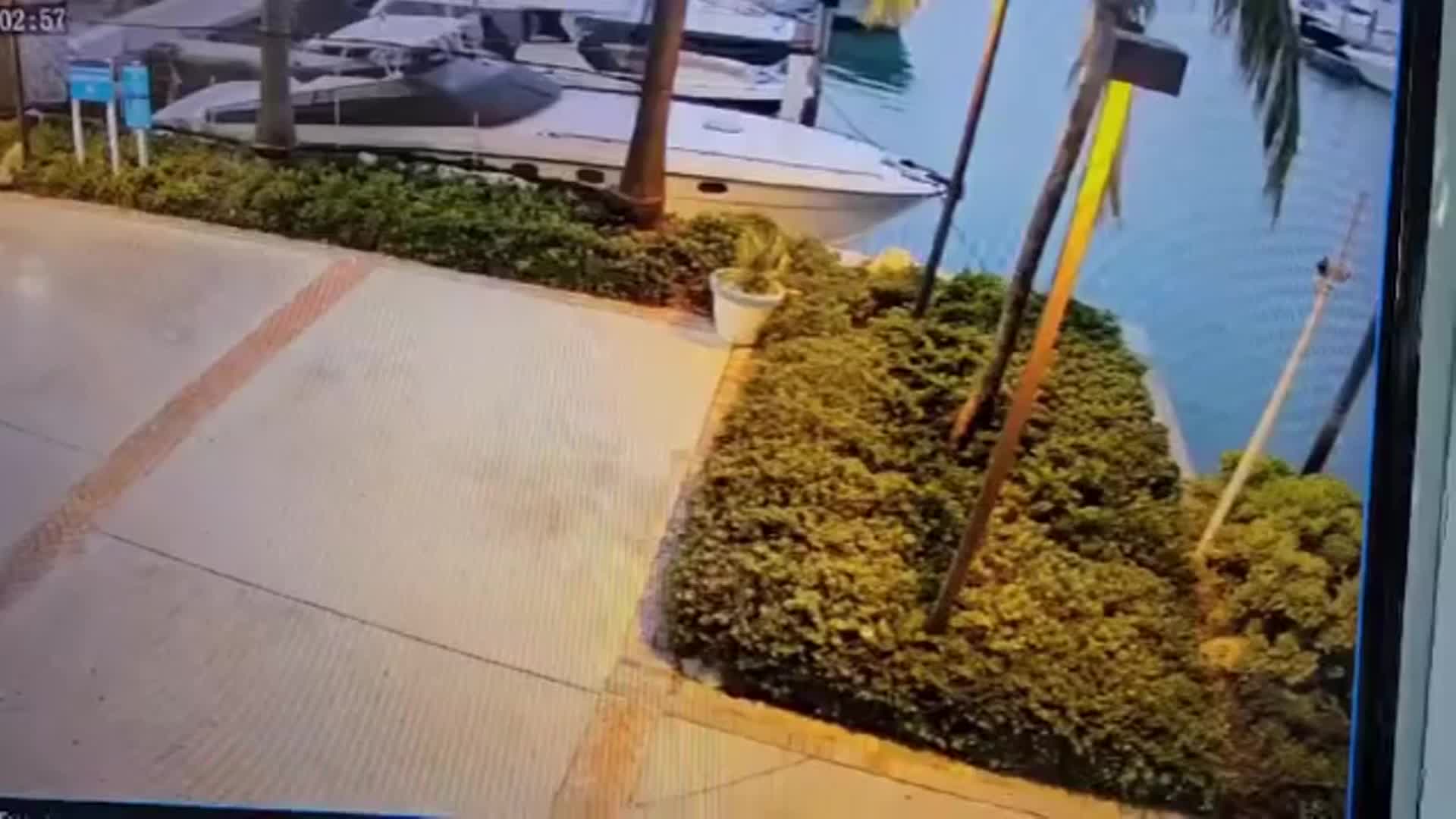 Man charged with DUI after driving car into Florida waterway: police – WFLA