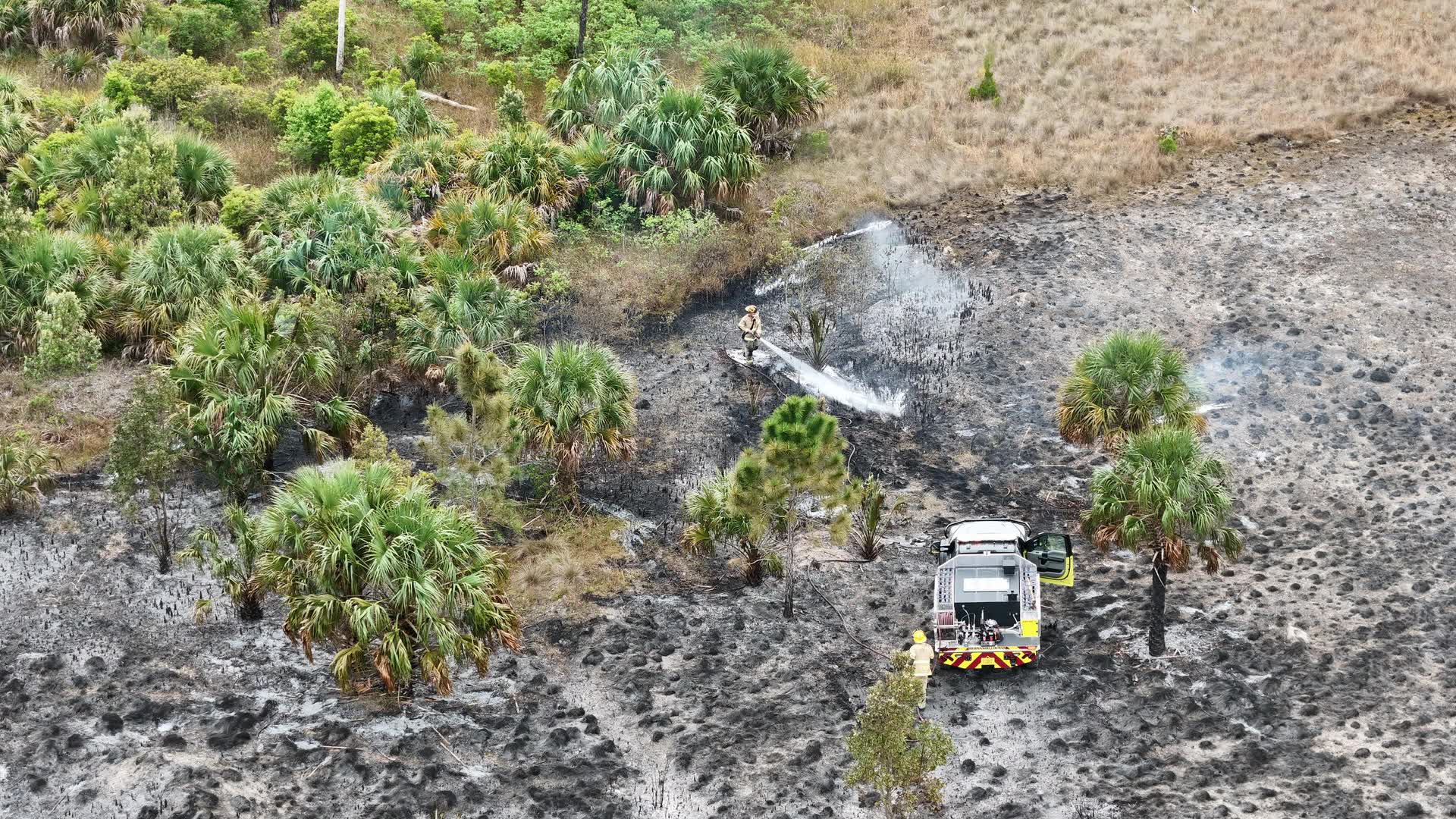 PHOTOS: 3-acre brush fire breaks out in Hernando County – WFLA