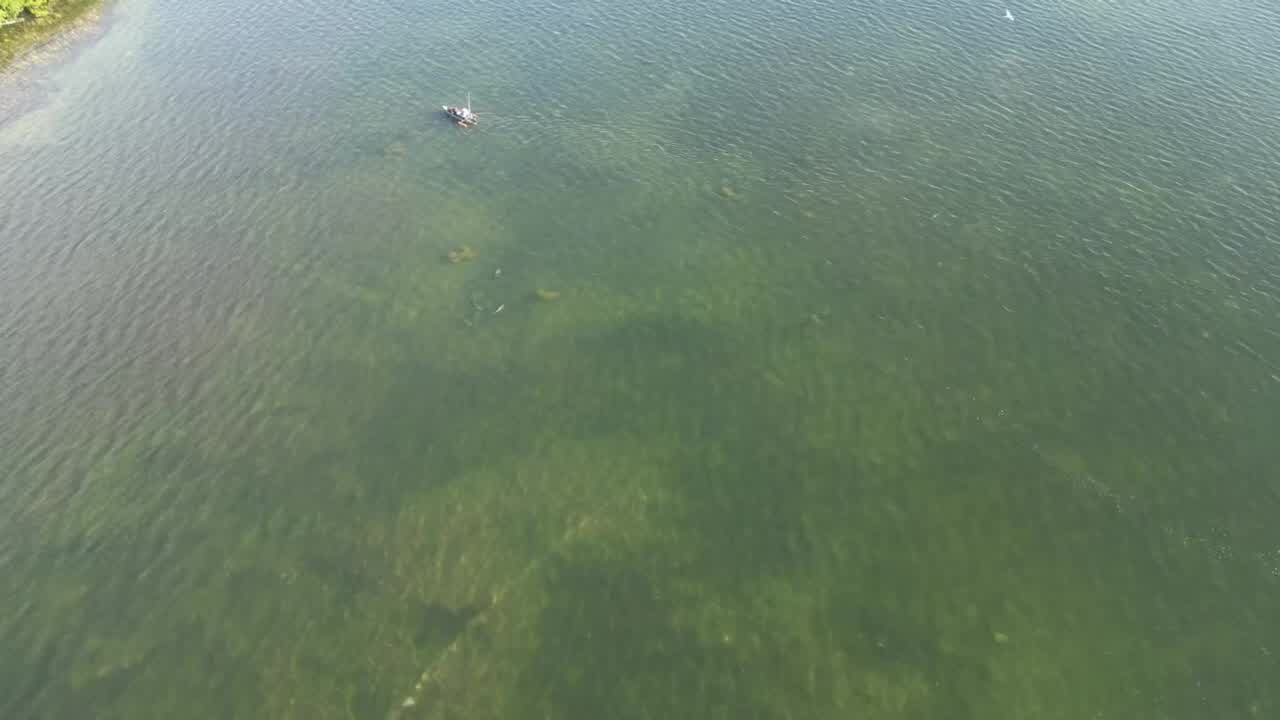 Drone footage shows nurse sharks at Caladesi Island – WFLA