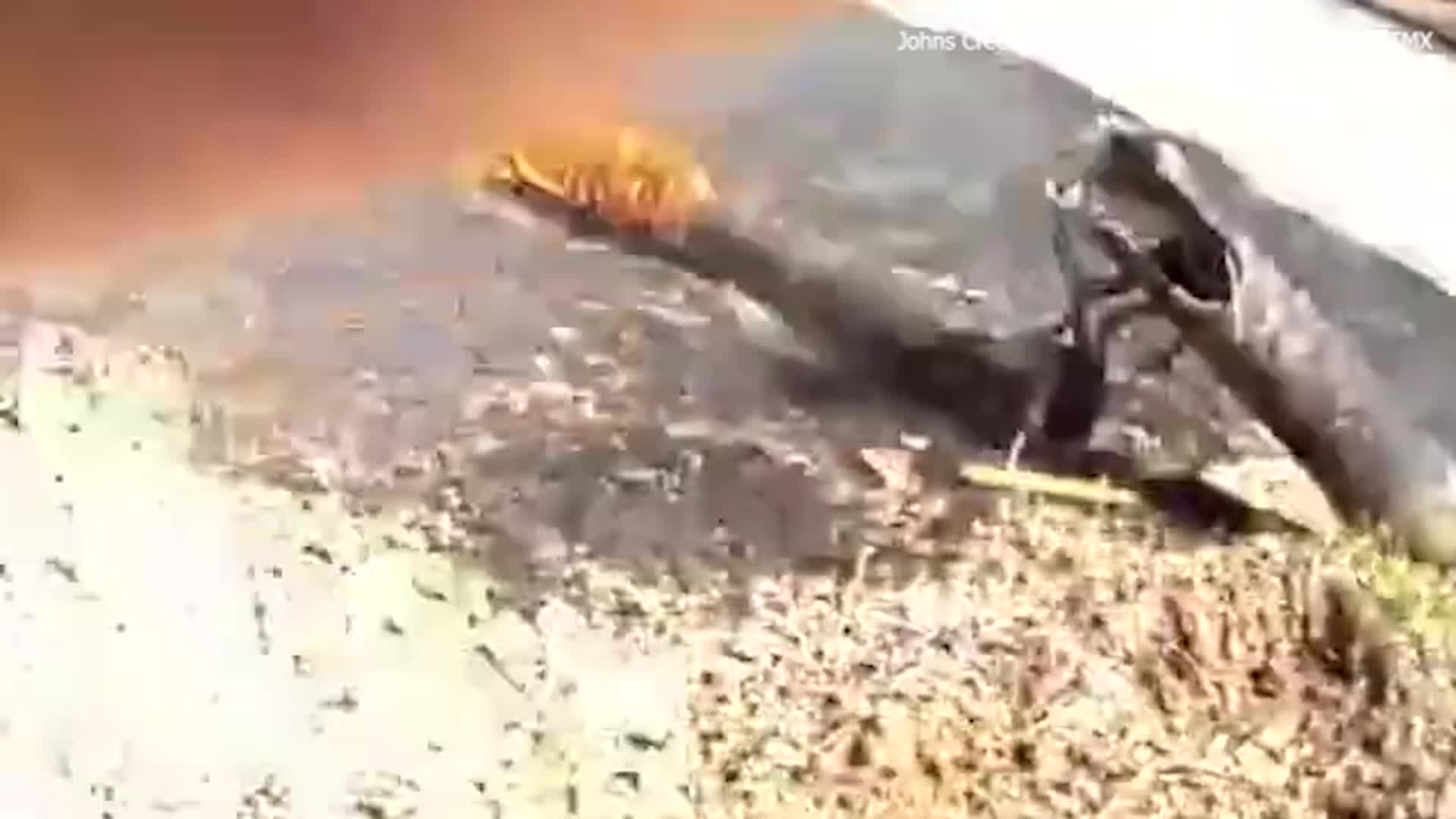 Driver Rescued Through Sunroof By Johns Creek Police, Found With Bottle