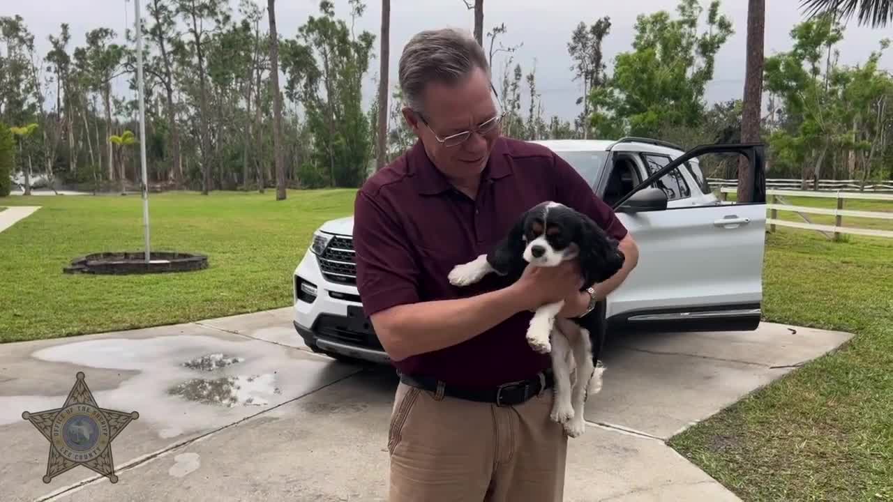 Florida deputies return missing dog to owner after former nanny ...