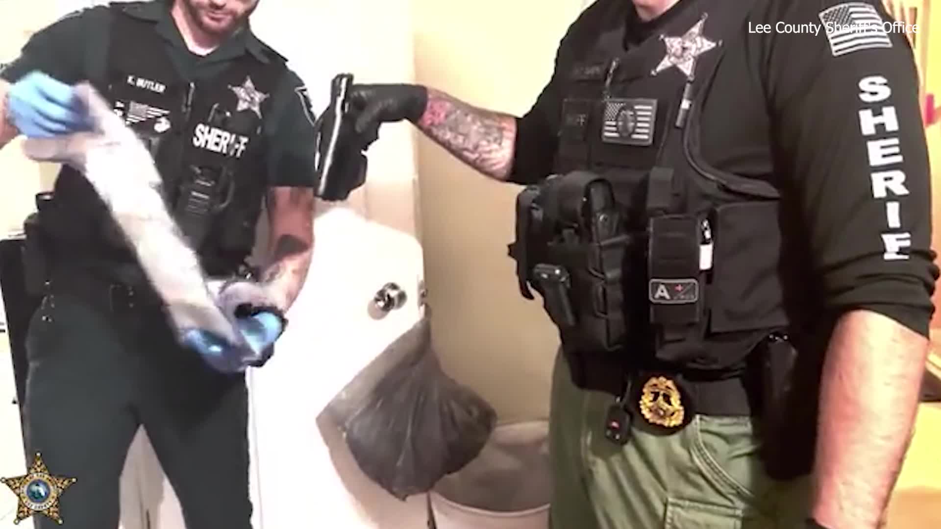 Florida man accused of shooting dog in face after infidelity is ...
