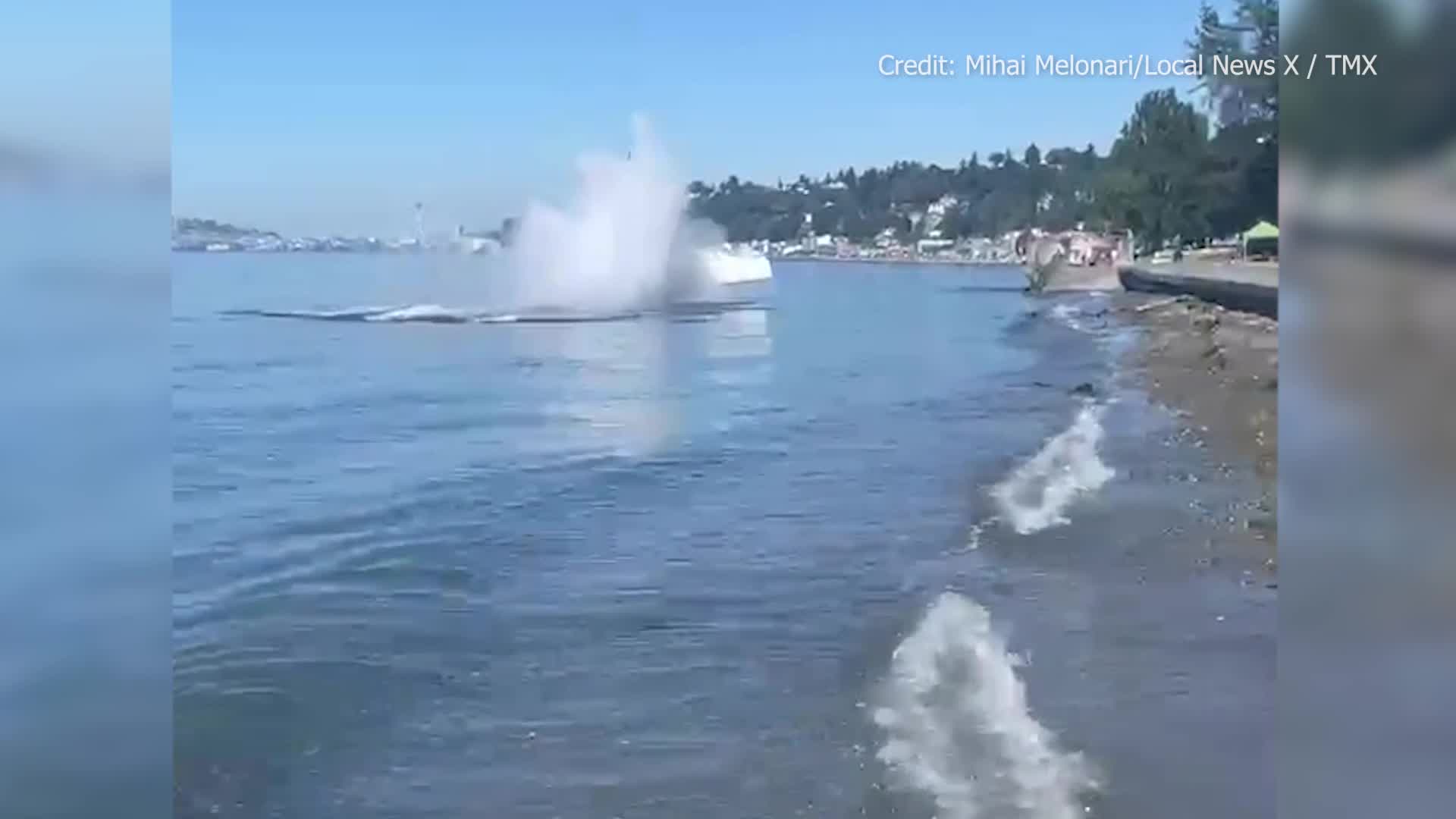 Small plane crash lands off Alki Beach in Seattle – WFLA