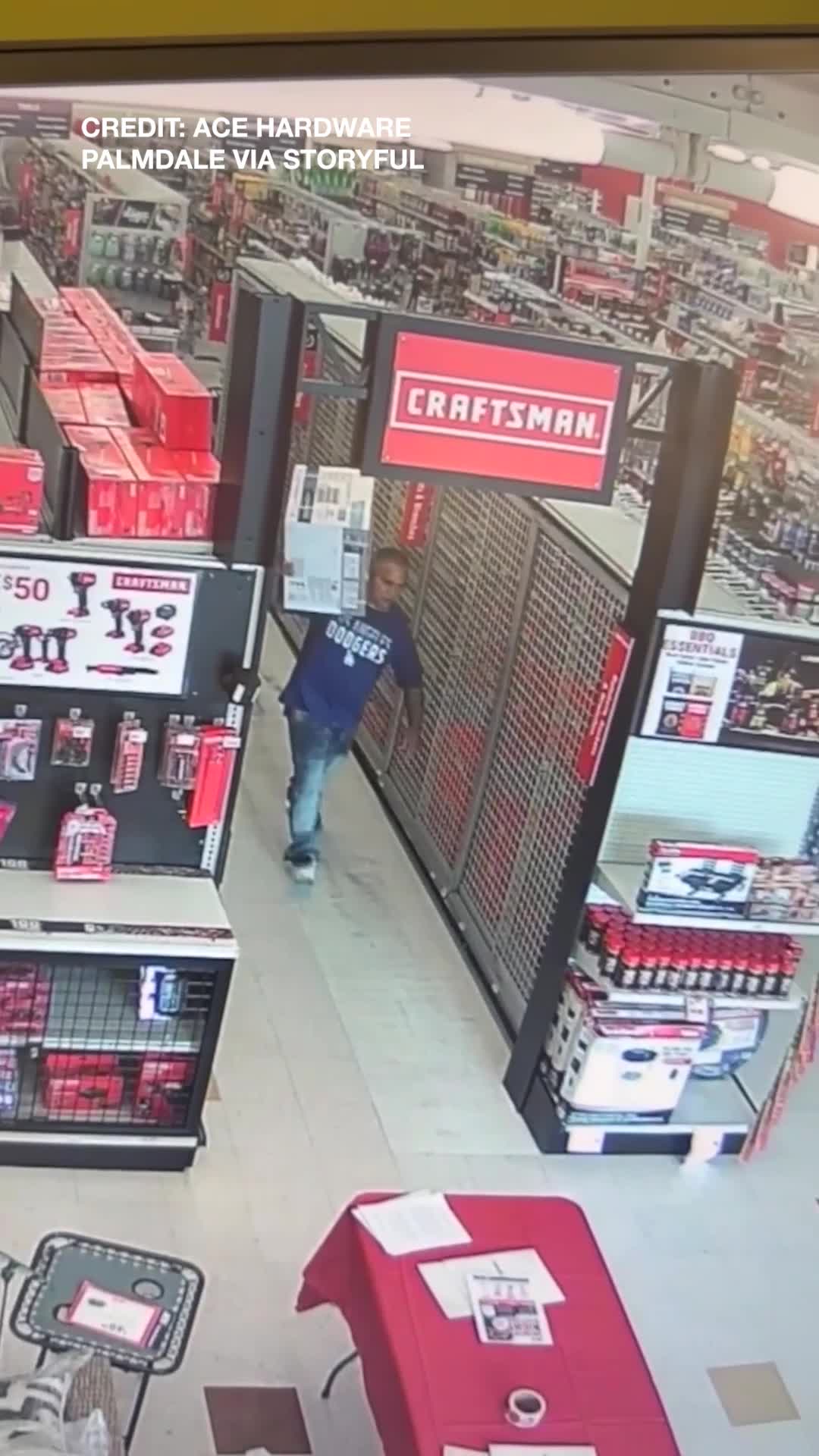 Pregnant employee wrestles AC from alleged shoplifter at Ace Hardware