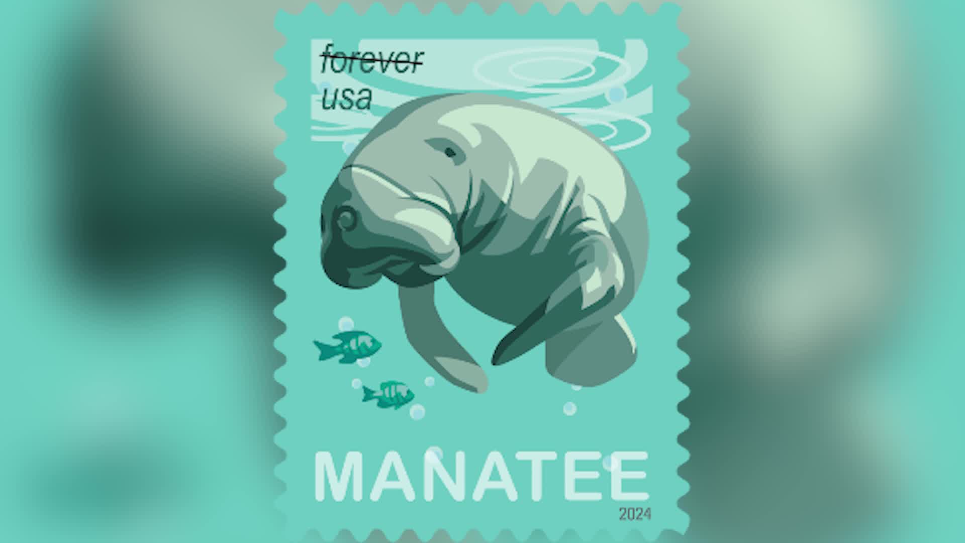 USPS Save Manatee Stamps – WFLA