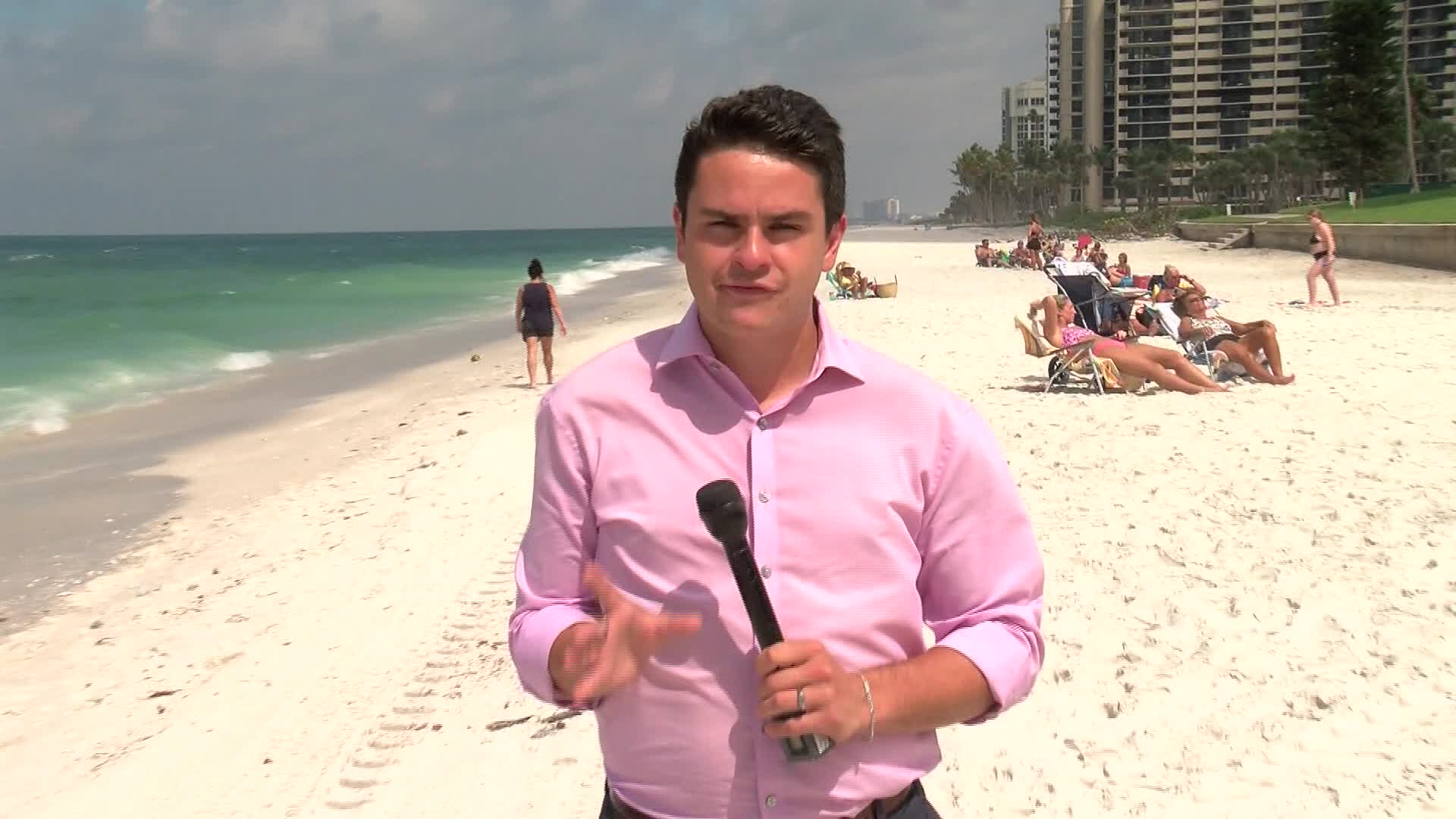 Seaweed blob visible from space takes aim at Florida Gulf coast – WFLA