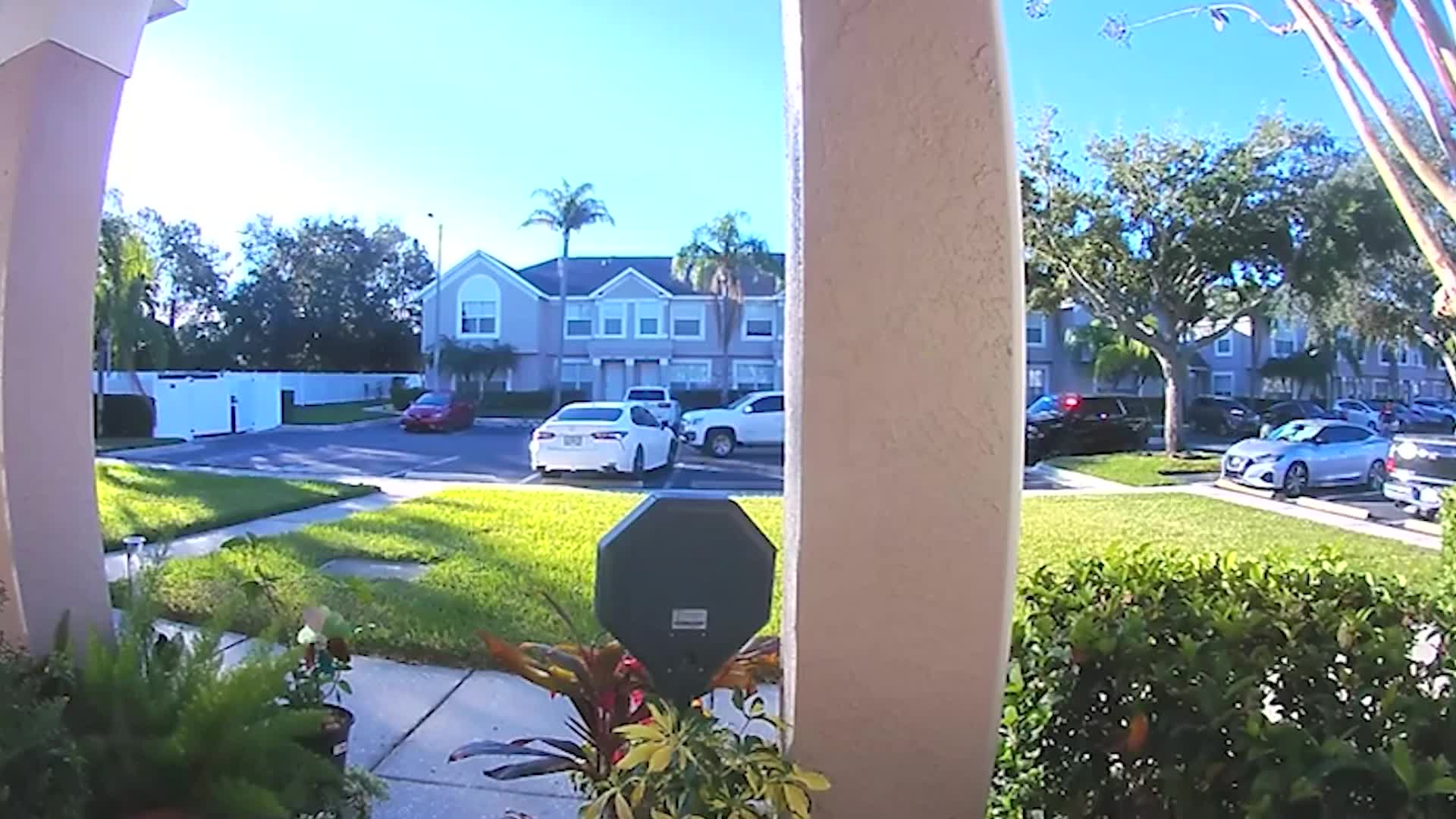 Wanted felon strikes patrol car trying to flee Hillsborough County ...
