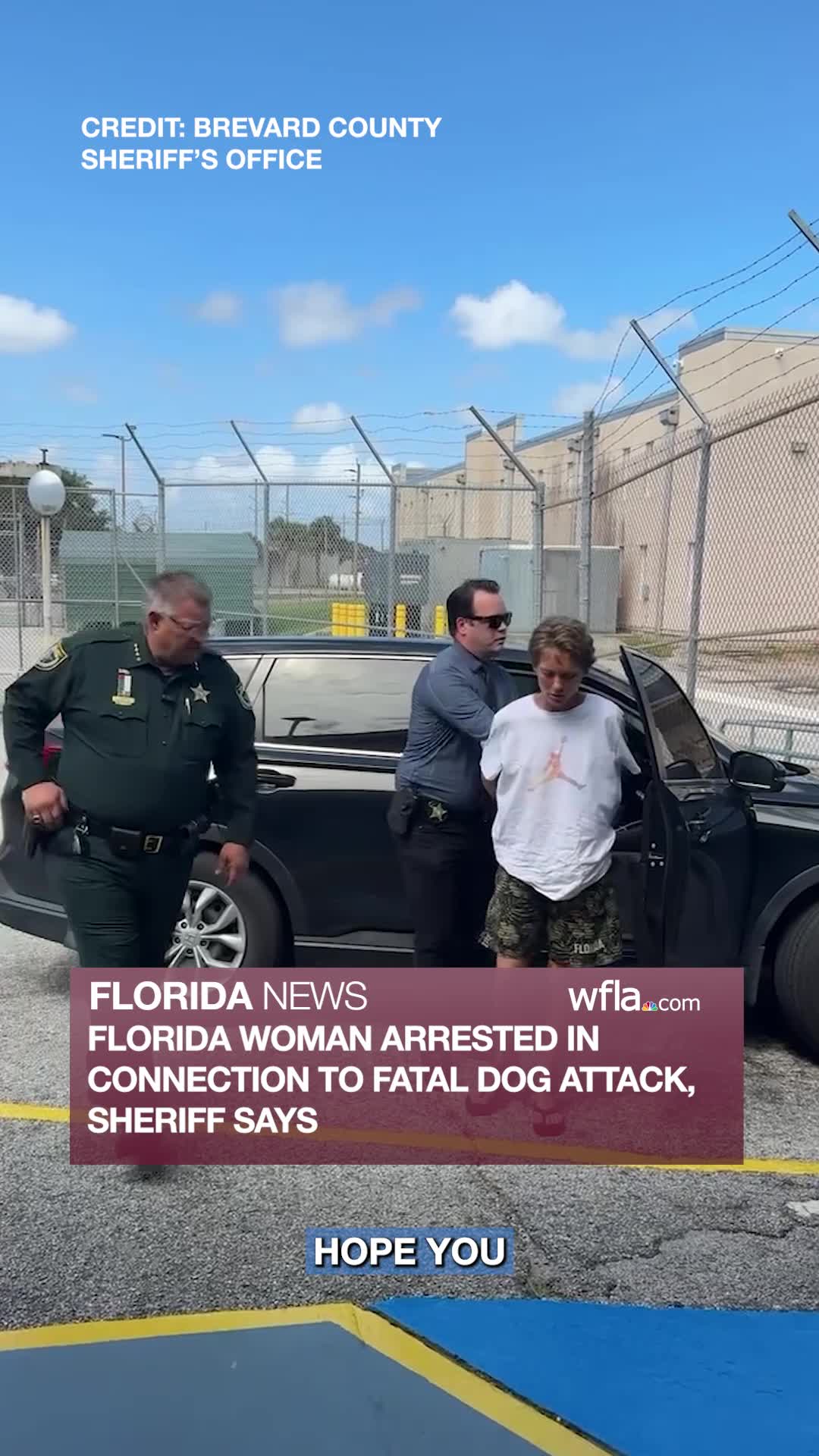 Florida woman arrested in connection to fatal dog attack, sheriff says ...