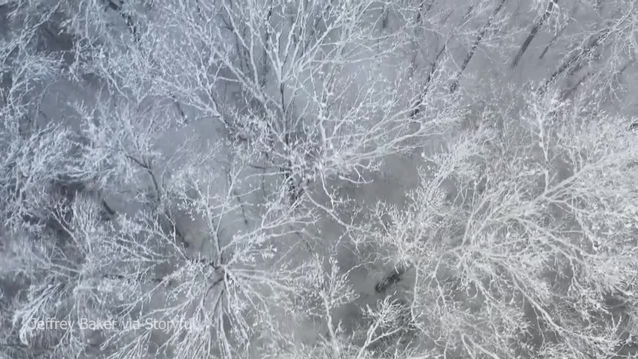 Northeast winter storm shuts schools, knocks out power – WFLA