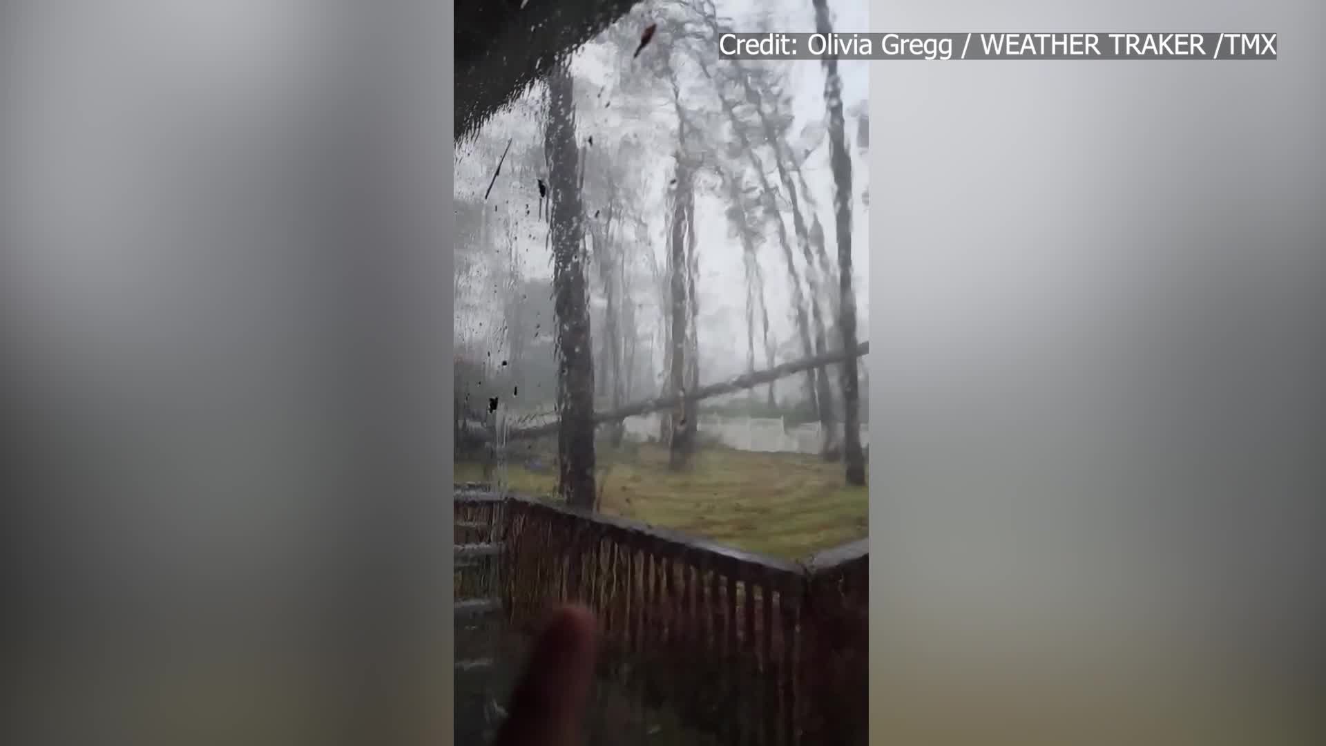 Child screams as tree crashes down on Florida home during Hurricane ...