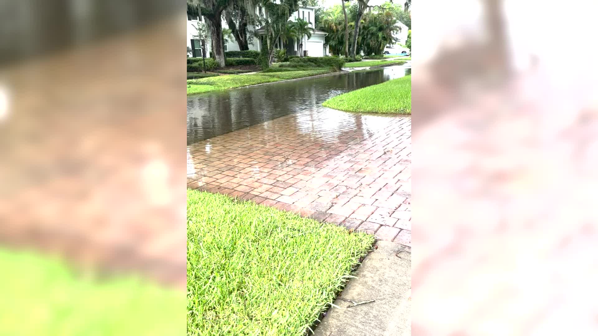 Westshore/Kennedy flooding – WFLA