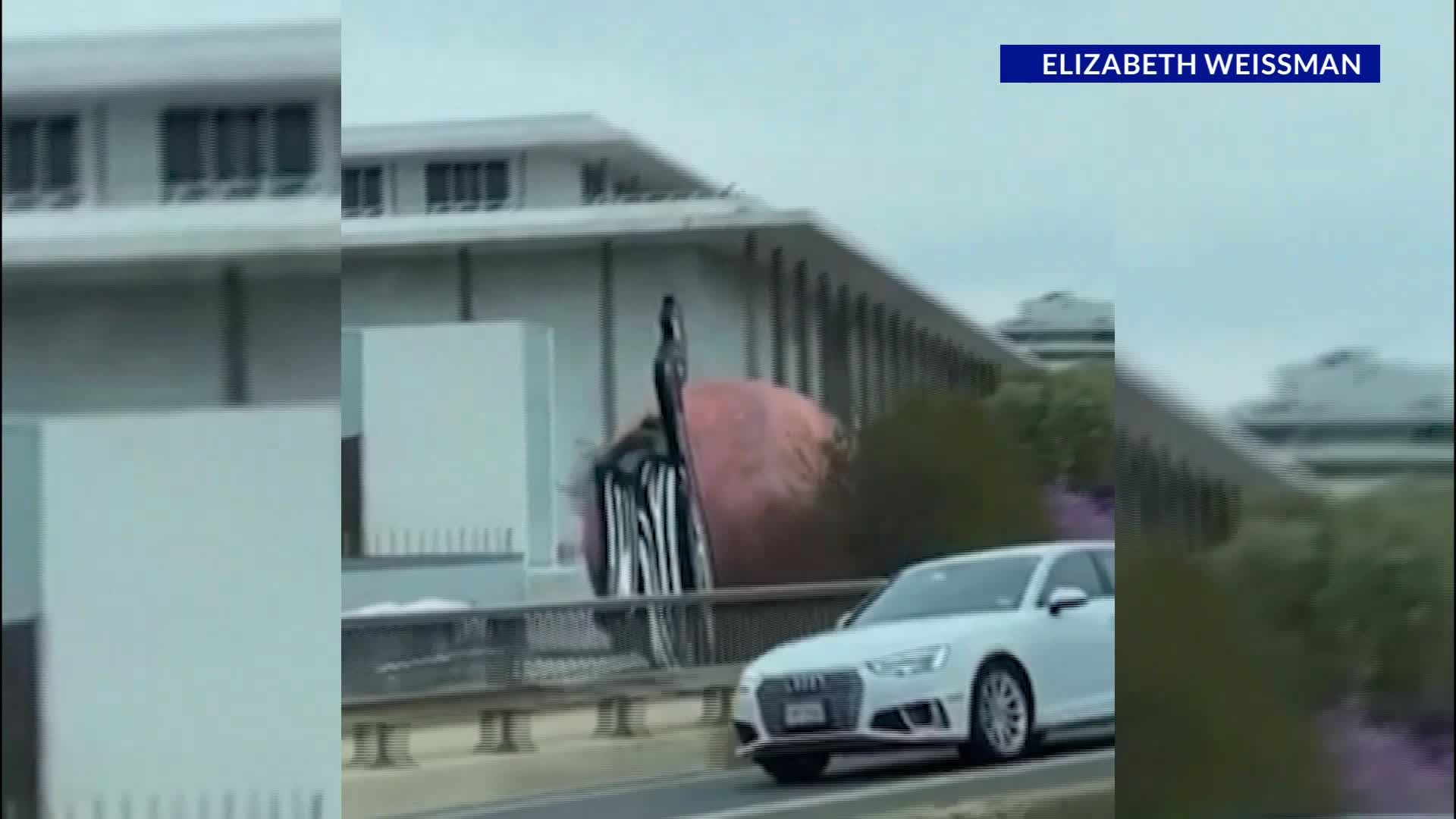 WATCH: Gigantic Mars inflatable breaks free, rolls away from Kennedy ...