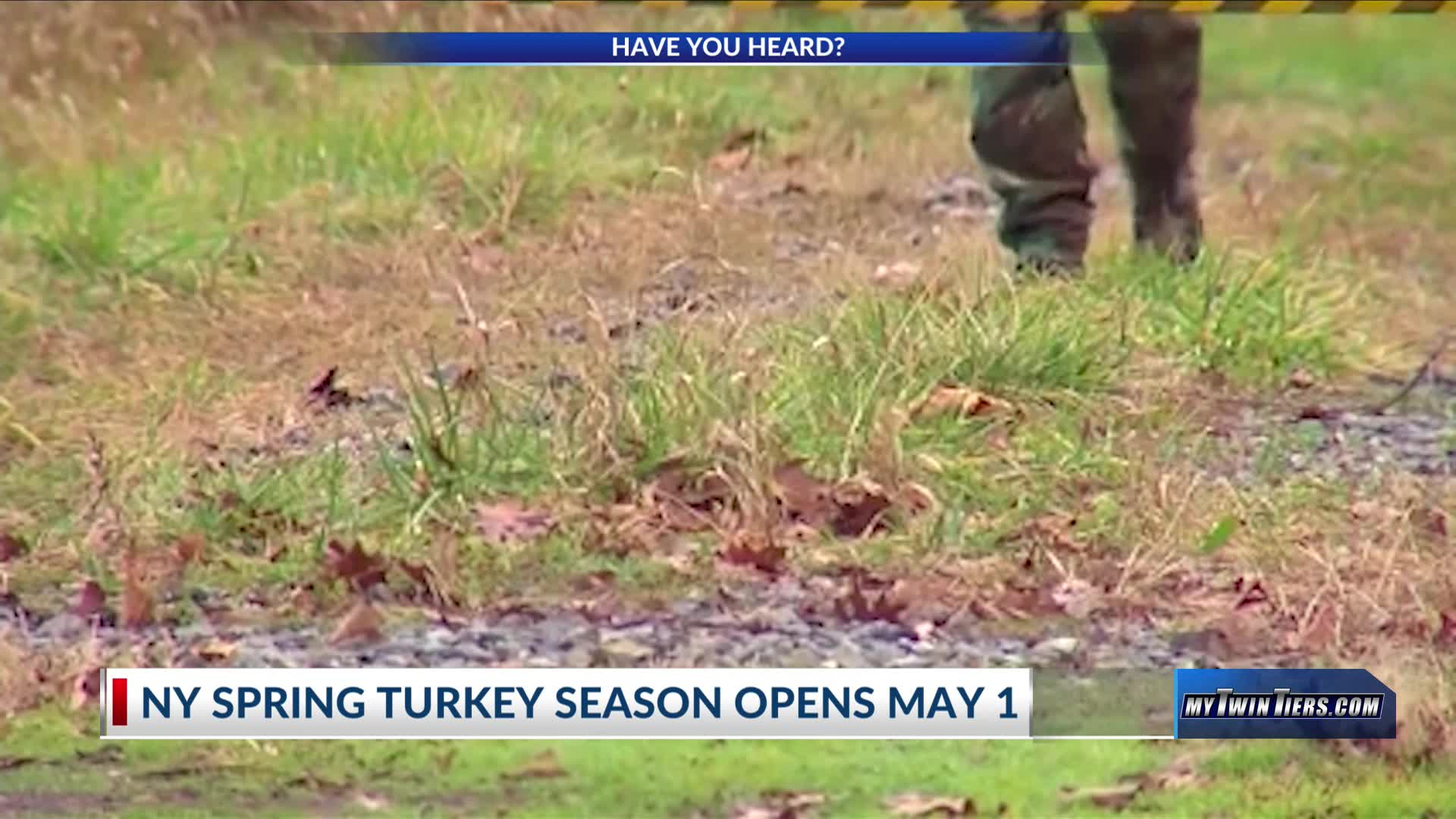 New York turkey season opens May 1 with smaller shot sizes allowed