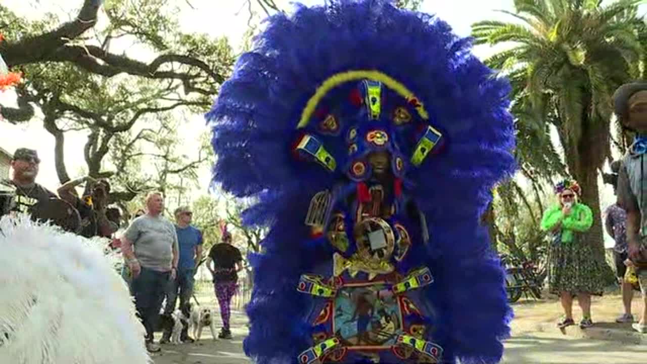 WATCH: Mardi Gras Indians Hit The Streets Of New Orleans – WGNO