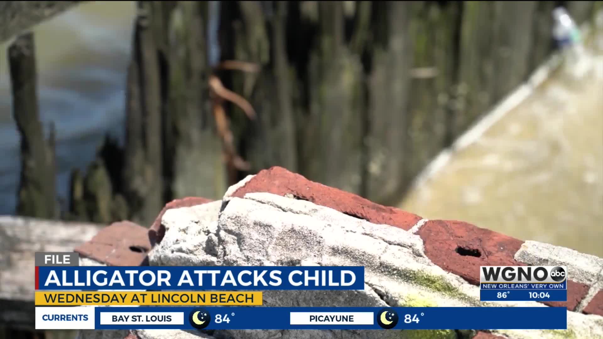 Child attacked by alligator at Lincoln Beach, New Orleans Emergency ...