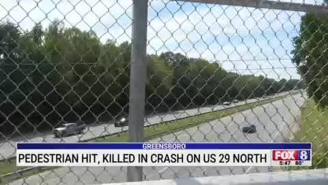 Pedestrian hit, killed in crash on US 29 North, Greensboro police say ...