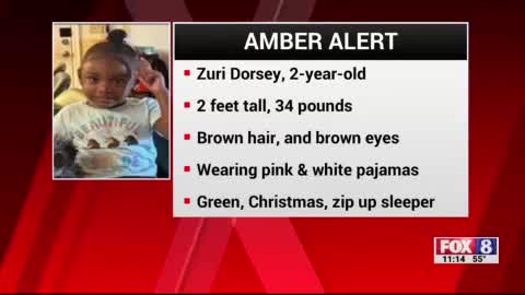 AMBER Alert for missing endangered 2-year-old girl; suspect possibly ...