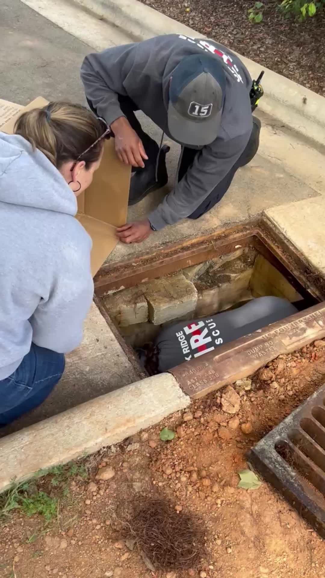 Baby ducks rescued from storm drain by Oak Ridge firefighters – FOX8 WGHP